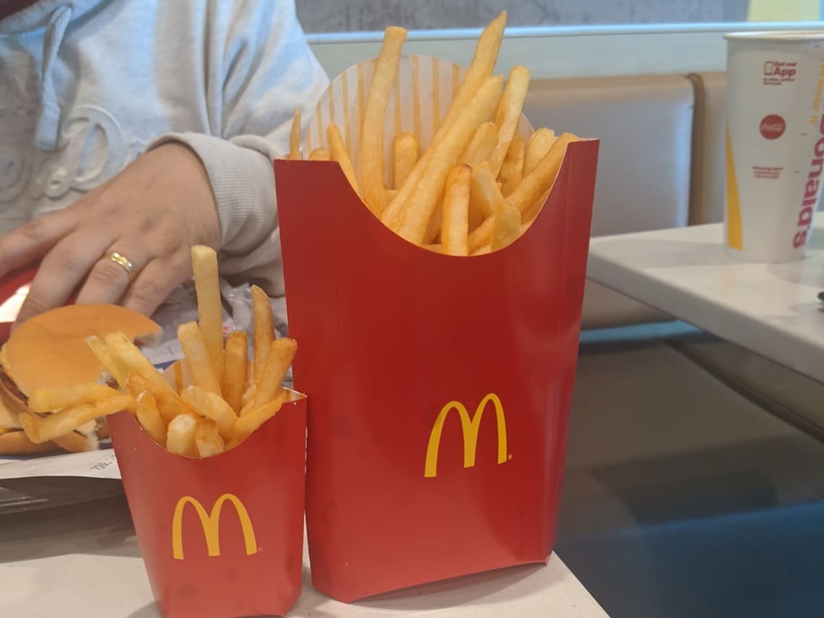 McDonalds Large Fries